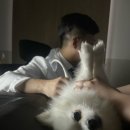 히어로동물병원 이미지