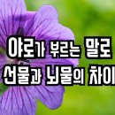 야로가 부르는 말로 선물과 뇌물의 차이 이미지