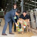 용촌농장 이미지