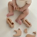 이도라돈 이미지