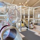 동백낭아래 키즈 독채 펜션 | 아이와 가기 좋은 강화도 독채 숙소 우와 키즈펜션 후기