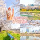 버스정류소_동홍 사거리 | 전라도 광주 벚꽃 명소 실시간 운천저수지 광주천 벚꽃 여행