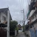치앙마이 요가 클래스 @와일드로즈요가 스튜디오 예약 후기｜무브웜 팬츠&amp;브라탑