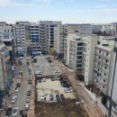 해궁참치 이미지