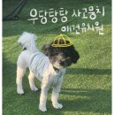 우당탕탕 사고뭉치 이미지