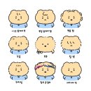 내머리어때 Daum카페