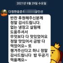 카페나무 이미지