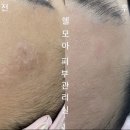 쉘모아 피부관리실 이미지