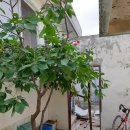 울진읍사무소 이미지