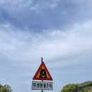 국립공원공단 국립공원야생생물보전원 야생동물의료센터 이미지