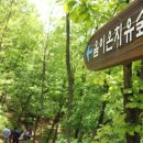 숲테라피 이미지