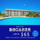 파라디소 이미지