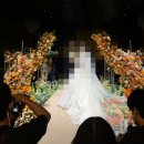 W10) 웨딩홀투어 &amp; 상담후기_ 아펠가모잠실[25년 하반기 견적, 계약X]
