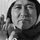 여행하는 나무 이미지