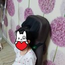 일하기 좋은 회사, 복지 좋은 회사 오박사닷컴