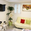 미당 에스테틱 이미지