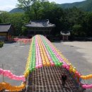 표충사2 이미지