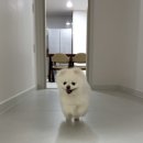 강릉풀빌라수 이미지