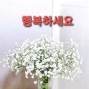 Training Time 이미지