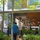 타이씨암레스토랑카페 이미지