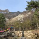 [김해] 신어산 영구암~은하사 등산 초보 코스