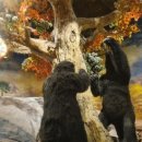 월드파크장 이미지