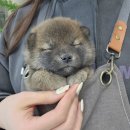 동두천-045 이미지