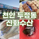 나나활어회 | 천안 두정동 횟집 신화수산 대방어 회식 후기 내돈내산 광어 감성돔