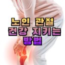 운동으로 지키는 관절 건강 | 노인 관절 건강 지키는 방법! 관절 운동 5가지와 MSM 영양제 완전정리