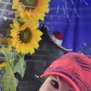 SI 엔터테인먼트 이미지