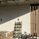 타코in카페 이미지