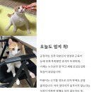 따봉 - 제주시 삼무로 40 | 따봉