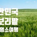 안성목장 2농장 이미지