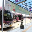 송탄터미널 (대합실) 이미지