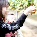 강진IC주유소 이미지