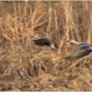 랑데뷰여관 이미지