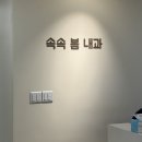 필내과의원 | 대전 속속봄내과, 음식물 과민증 지연성 알레르기 검사 IgG 222종 내돈내산 비용 후기