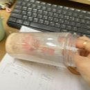 사주 후기 겸 주말일기~!