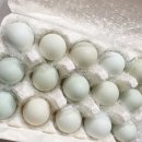 하나로농장-3 이미지