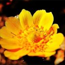 조원공원사거리 이미지