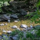 펜션이룸 이미지