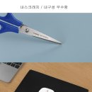 케이와이티