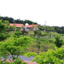 숲에 머물다 이미지