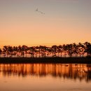 계화도마을 이미지