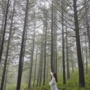 함백산빌 이미지