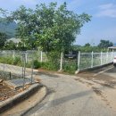 르미르몽 풀빌라 펜션 | [내돈내산]청도 풀빌라 르미르몽에서 자쿠지와 수영장 이용후기