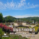 [임실치즈테마파크] 26년 6월 6일 방문한 장미정원 개화 현황 &amp; 치즈 판매장 쇼핑 후기