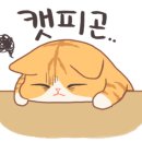 현덕농장 이미지