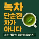녹차, 단순한 차가 아니다 소화·해열·항산화·뇌 건강까지 돕는 ‘약성 차(茶)’의 모든 것 이미지