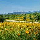 대산문화체육공원(축구장) 네이버블로그